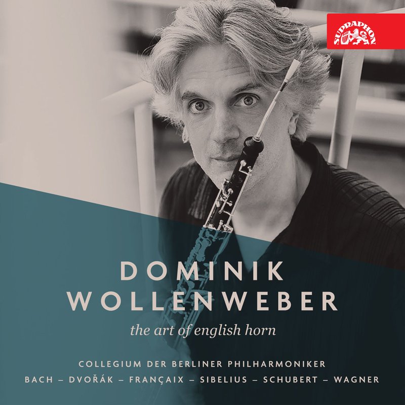 cover_DominikWollenweber.jpg