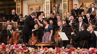 Na Novoročních koncertech Vídeňských filharmoniků nesmí chybět valčík Na krásném modrém Dunaji či Radeckého marš