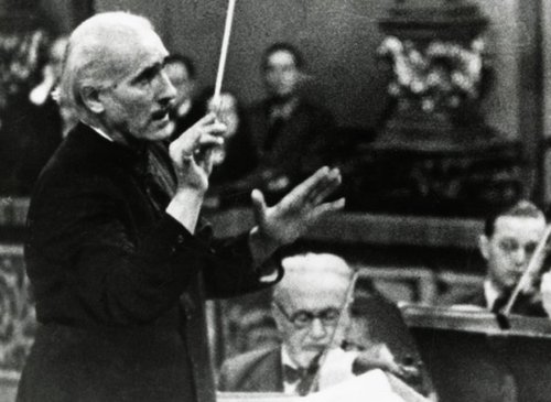 toscanini rose.jpg